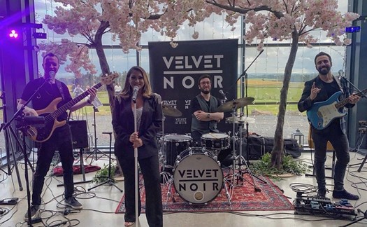 Velvet Noir 